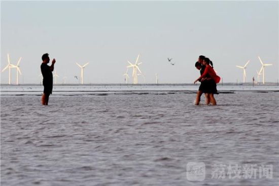东台的海边在哪里(东台市强港看大海怎么去)