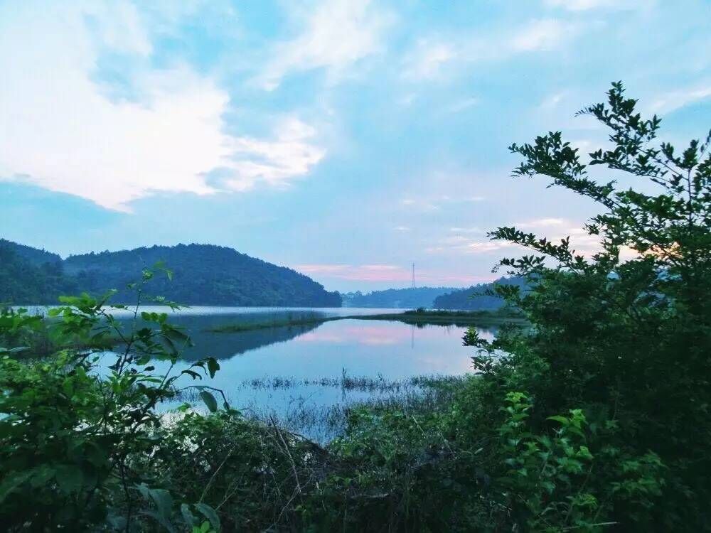 溧水人保险公司在哪里(溧水太平洋保险公司地址)