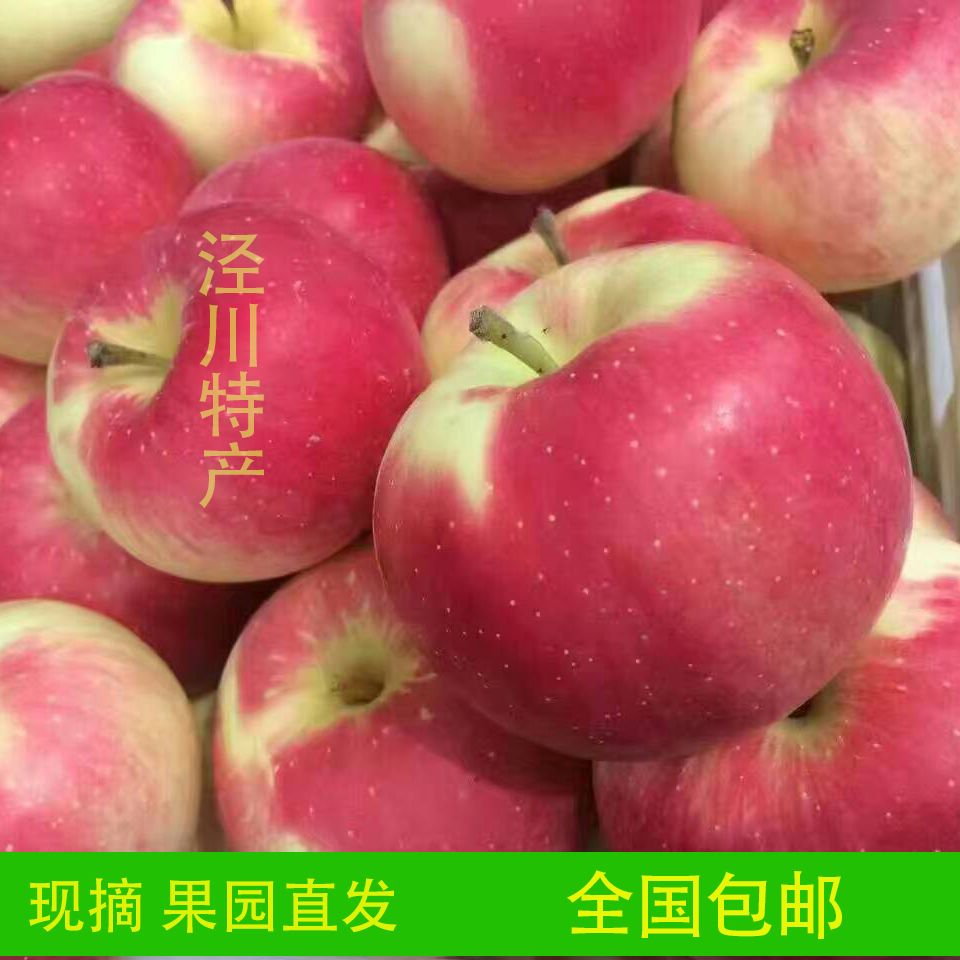 甘肃红富士产地在哪(甘肃庆阳苹果资料介绍)