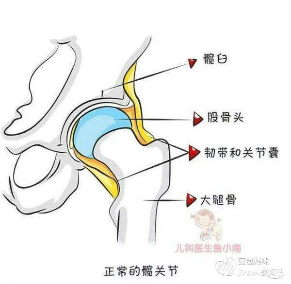 腿纹在哪里(宝宝腿纹在哪里看)