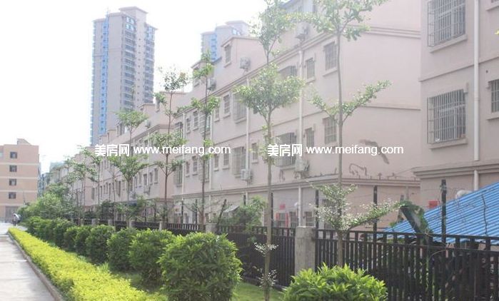 桐洋新城在哪(桐洋新城二手房价格价格)