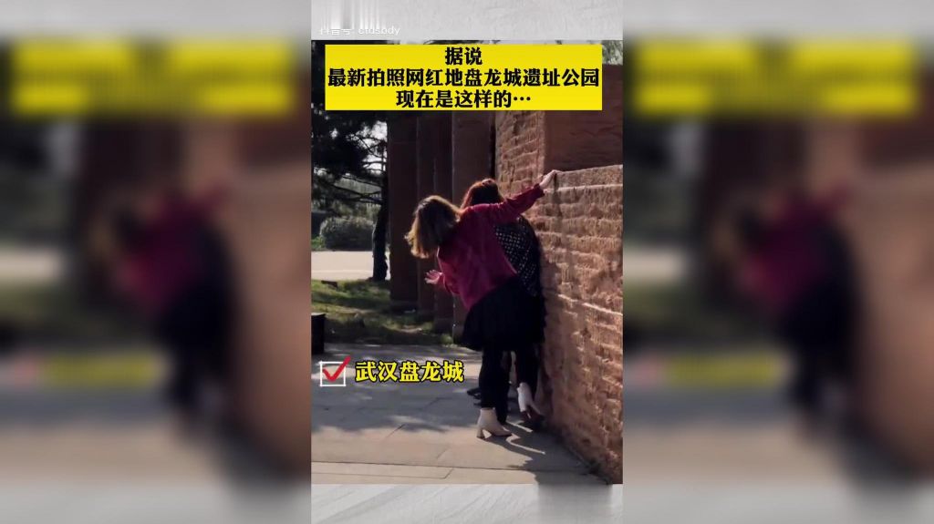 37秒在哪看(高清免费观看电视网站)