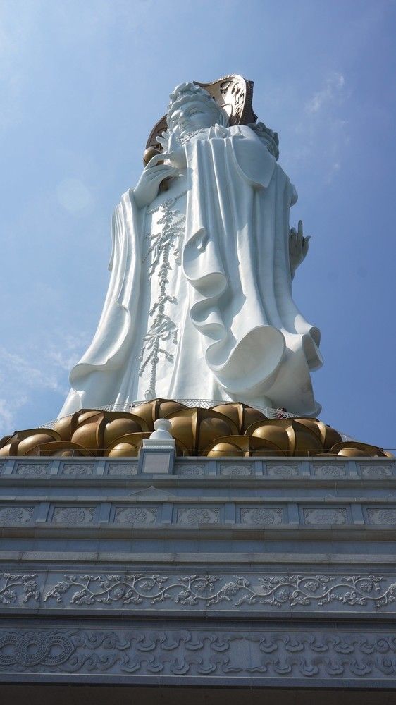 南山旅行在哪(南山铝型材有限公司)