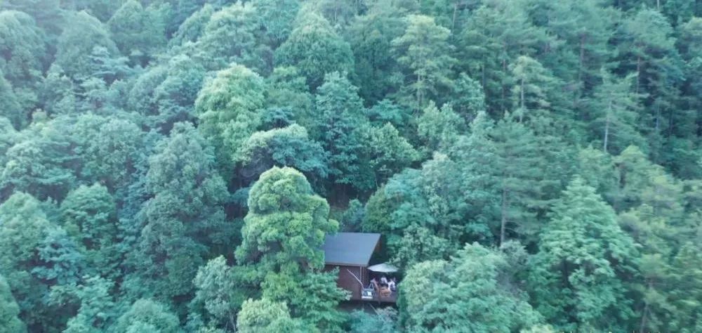 在哪隐世(金庸群侠传5隐世门派)