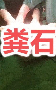 粪石在哪里找(如何让粪结石排出)
