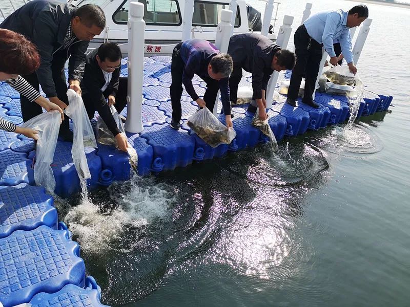 莘县禁养区在哪里(唐县环保局养殖禁养区)