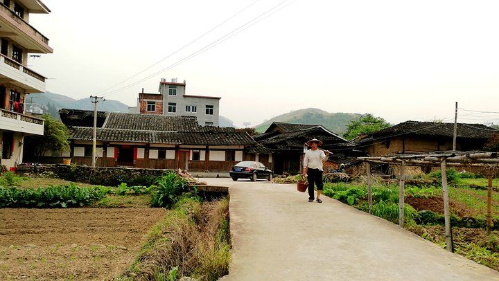 青光村在哪(青光洗浴有开业的吗)