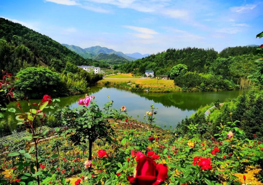 崇阳在哪(崇阳在哪里)