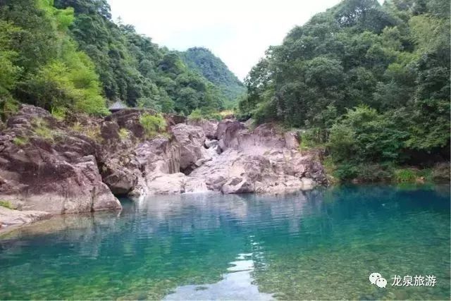 现在龙住在哪(真正的龙生活在哪里)