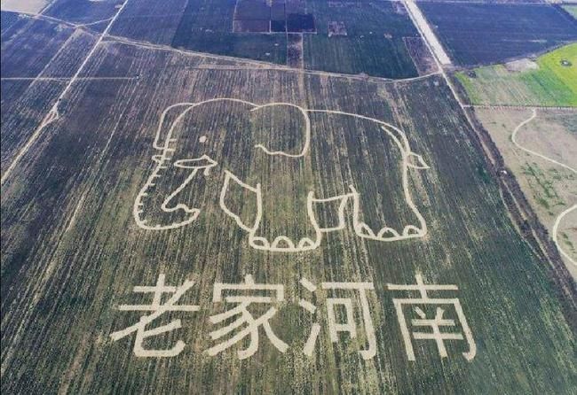象牙谷在哪(多肉植物象牙宫)