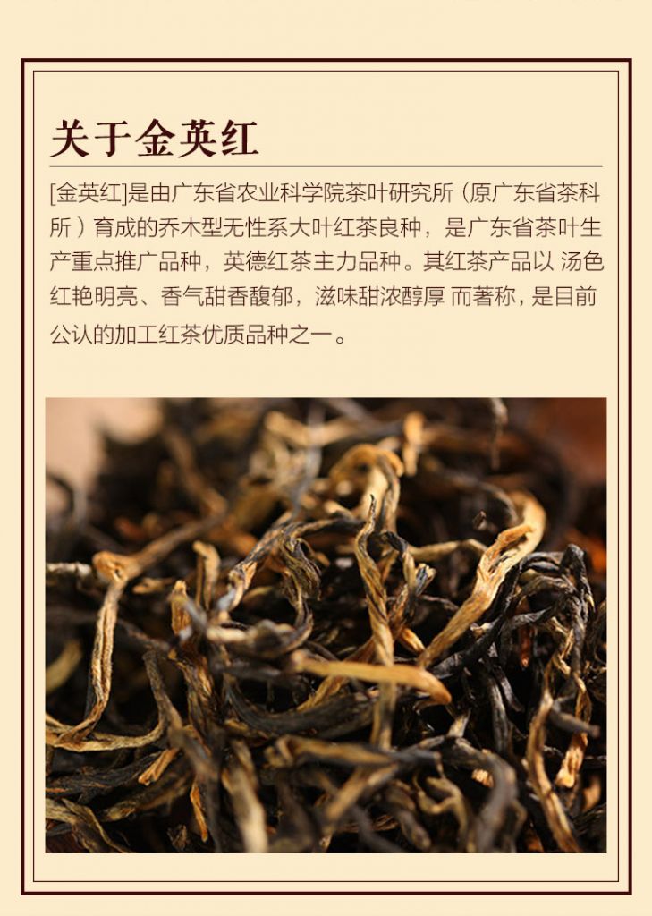 英红茶在哪里(英德红茶英红九号价格)