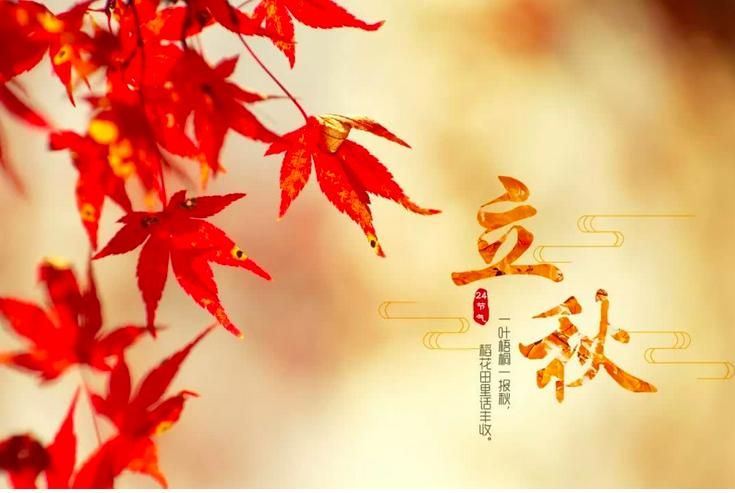 几号立秋2021(21年立秋是几点几分秋)