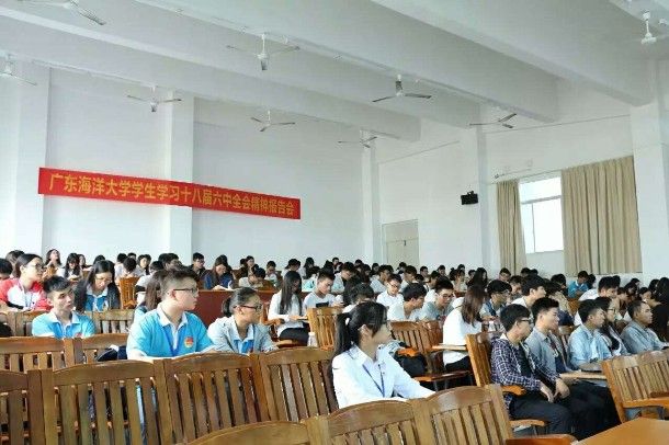 大学生学习(大学生学习计划)