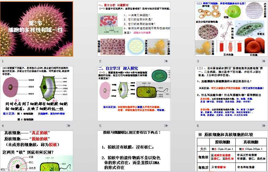 衣藻生活在哪里(衣藻生活在淡水中吗)