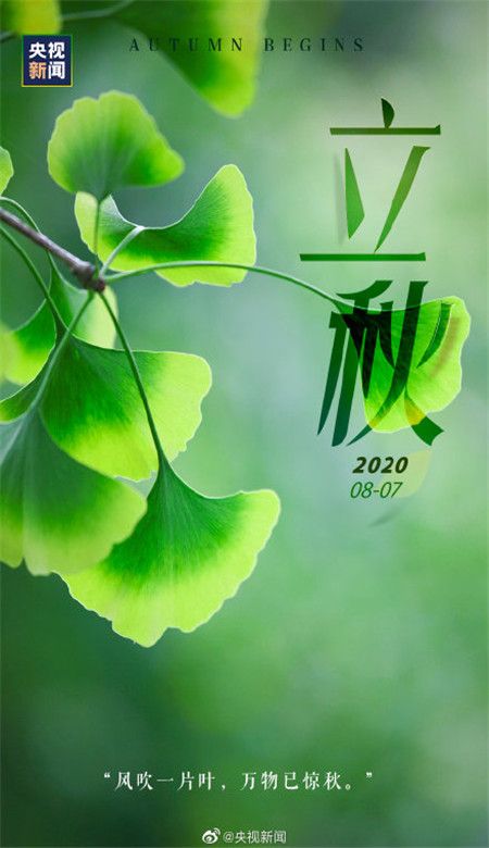 立秋图片大全(入秋图片2020)