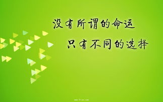 励志大全(励志短句100句)