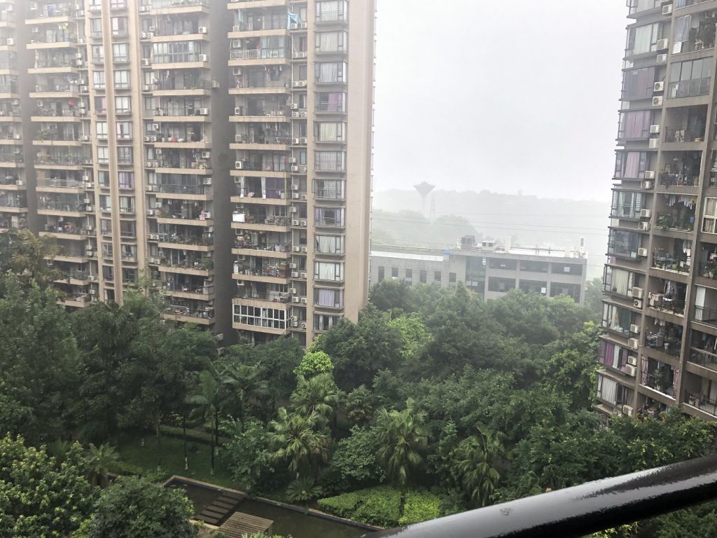 重庆九龙坡区房价(重庆九龙坡区房价走势最新消息)