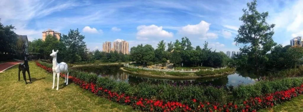 温江离婚的地方在哪里(温江耍的地方在哪里最新)