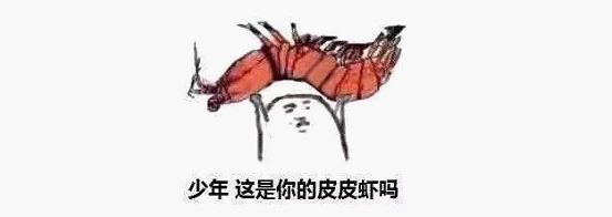 皮皮虾污在哪的简单介绍