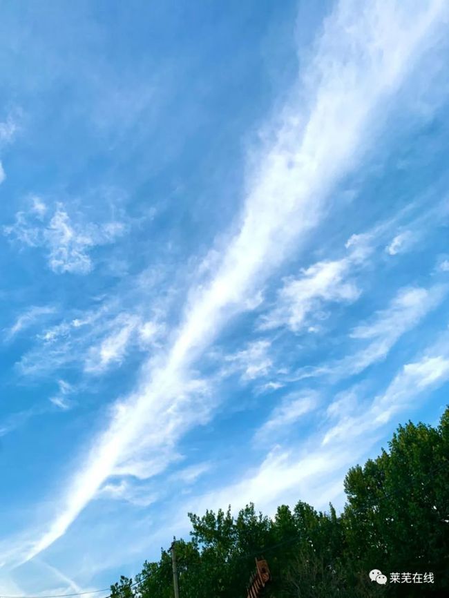 兄弟你在哪里天空又飘起了雨(兄弟你在哪里天空又飘起了雨歌词)