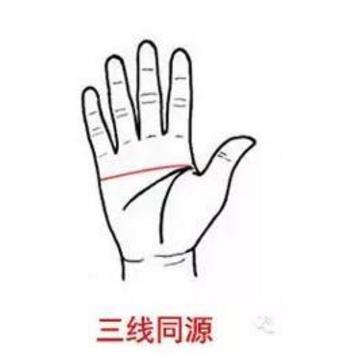理智线在哪(利智现在状况)