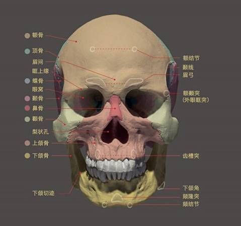 眉额骨在哪(美俄关系历史)