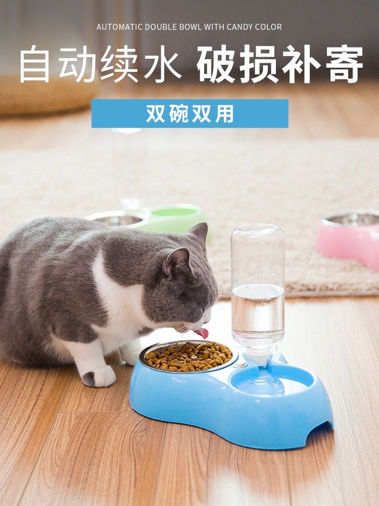 猫碗在哪里洗(猫洗澡在哪里洗)