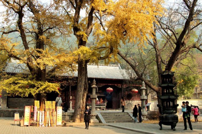 济南灵岩寺在哪(济南灵岩寺求什么最灵)