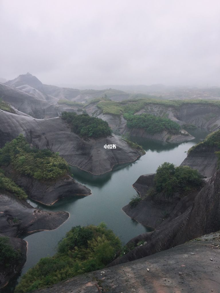 沙洲在哪(金沙洲在哪)