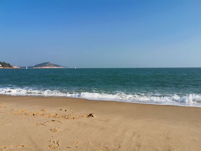 沙洲在哪(金沙洲在哪)