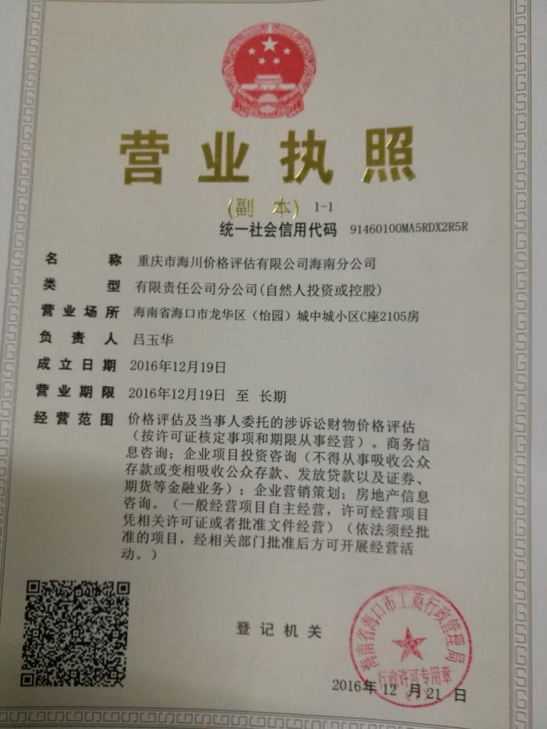 关于在海南注册一个什么公司好的信息