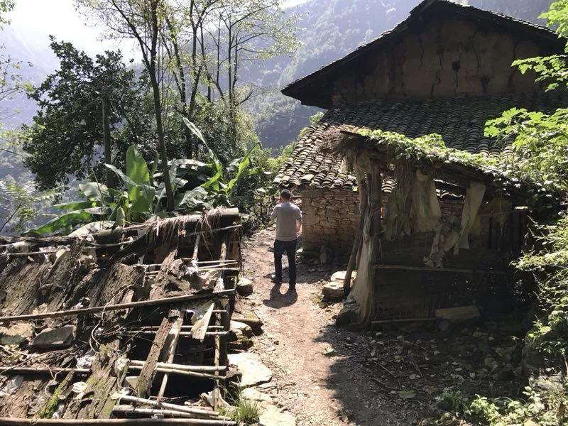 蒜村在哪(蒜村在哪接种疫苗)