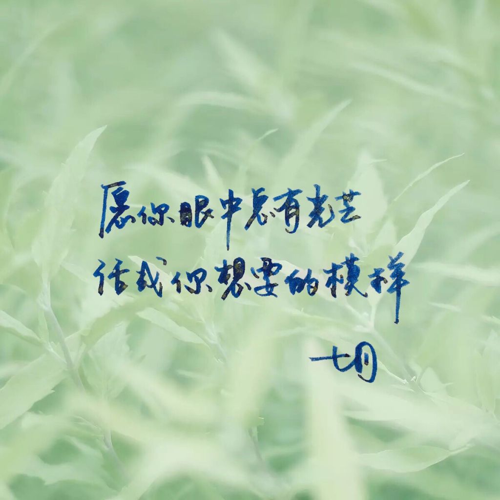 心在哪语录(心在哪里风景就在哪里作文)