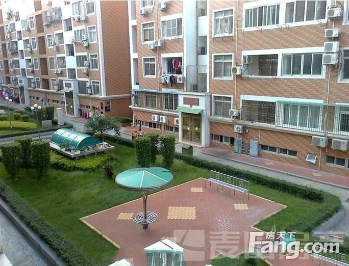 邳州紫薇小区在哪里(邳州祥和苑小区在哪里)