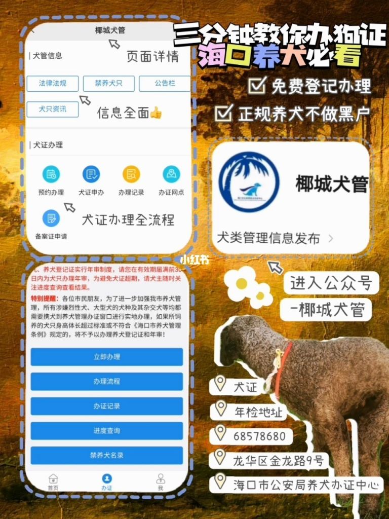 南昌办狗证在哪里办的简单介绍