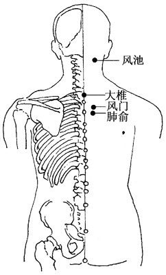 肺俞穴在哪个部位(鑲轰繛绌村湪鍝釜浣嶇疆)