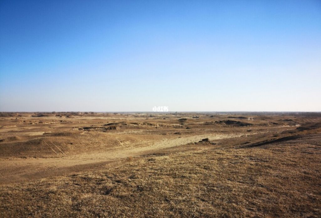 库伦是现在哪(库伦是现在什么地方) 库伦是现在哪(库伦是现在什么地方)