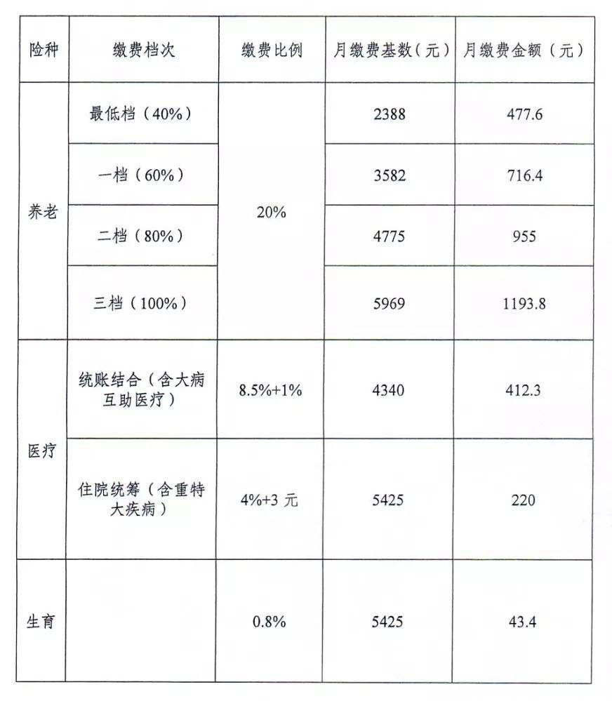 关于社保补缴咨询电话的信息