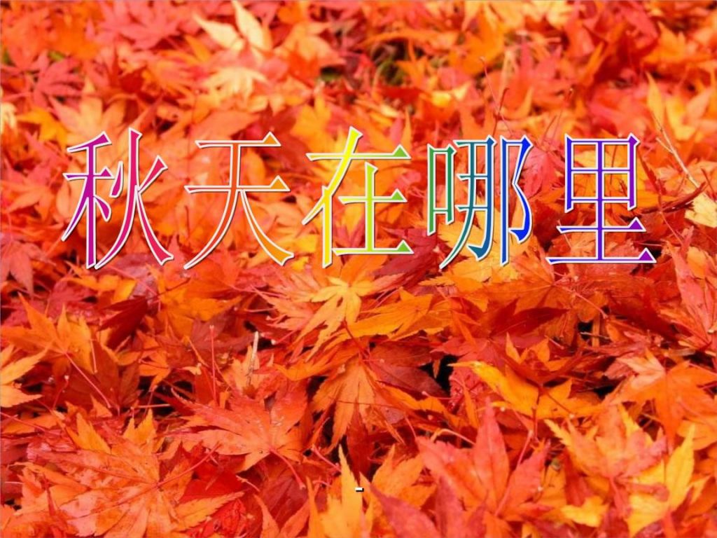 秋季在哪里(秋季招生什么意思)