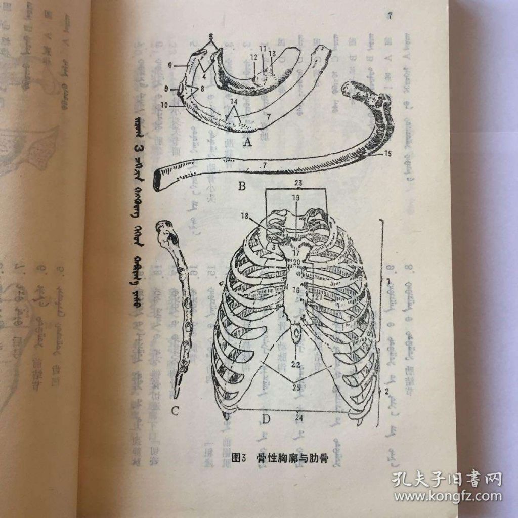 蒙楚格在哪(骑马与砍杀2杀了蒙楚格)