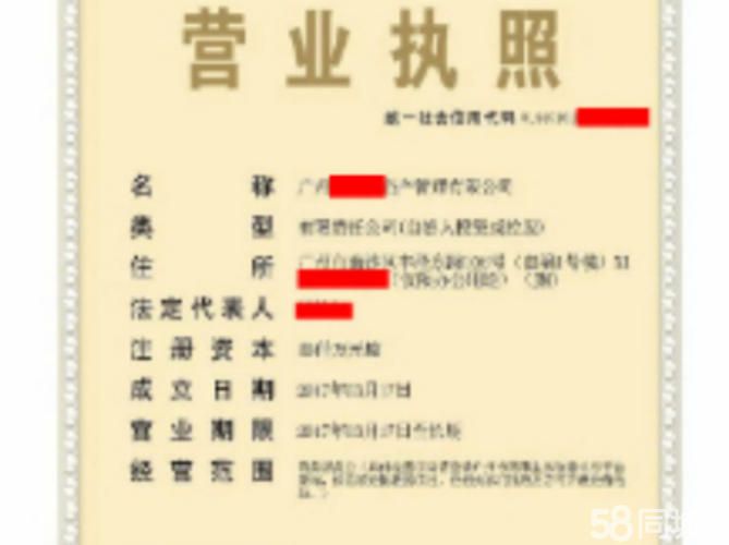 注册公司核准名称的网站的简单介绍