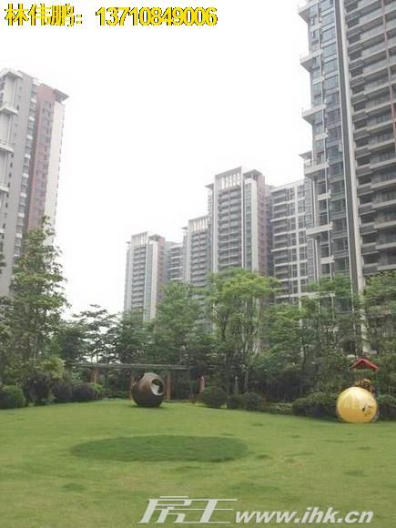广州金山谷在哪里(广州番禺区金山谷东艺路)