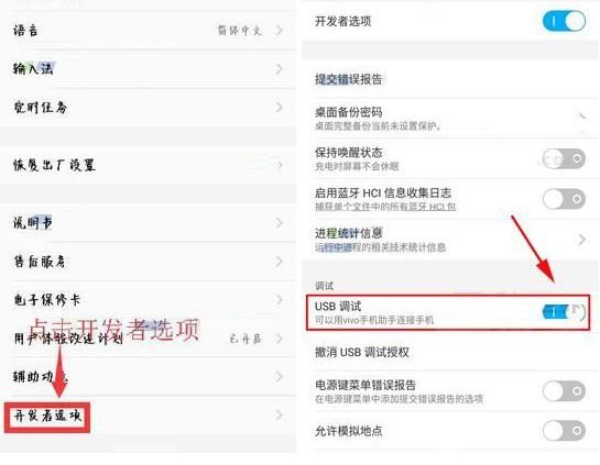 vivo开发者选项在哪(vivo开发者选项在哪里)
