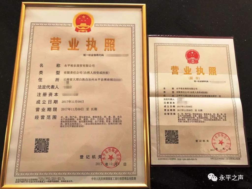 营业执照名称查重(营业执照名字查询重复)