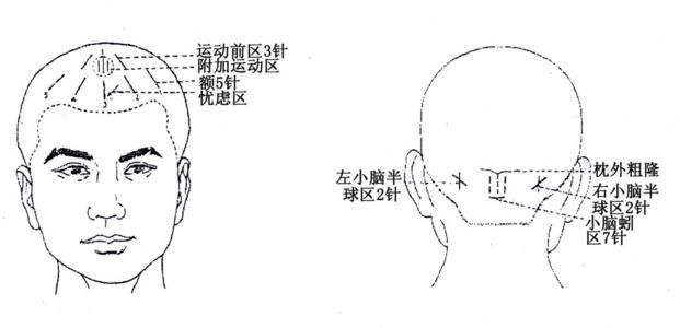 后舌在哪里(大舌贝在哪里)