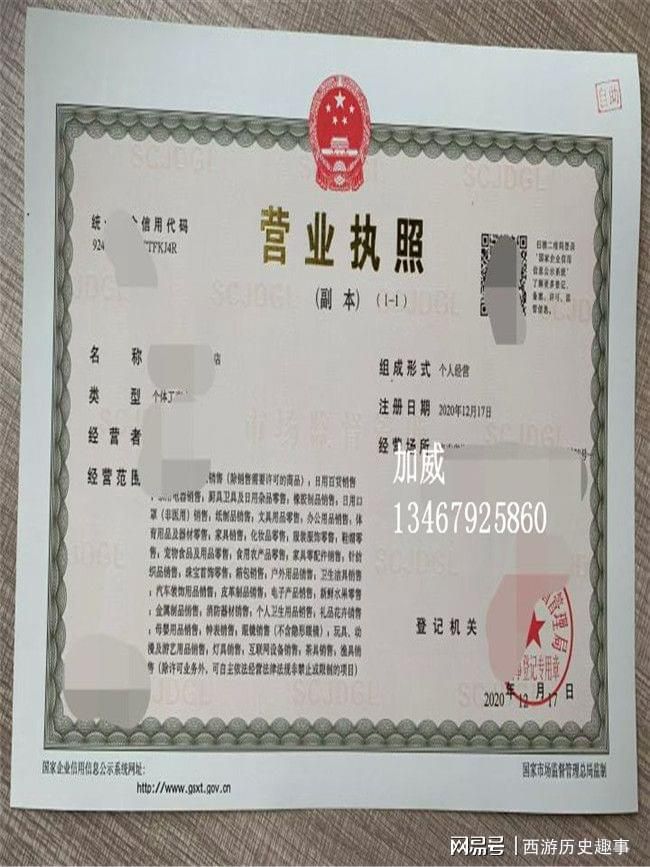 营业执照怎么年审网上办理(营业执照怎么办理网上申请年审)