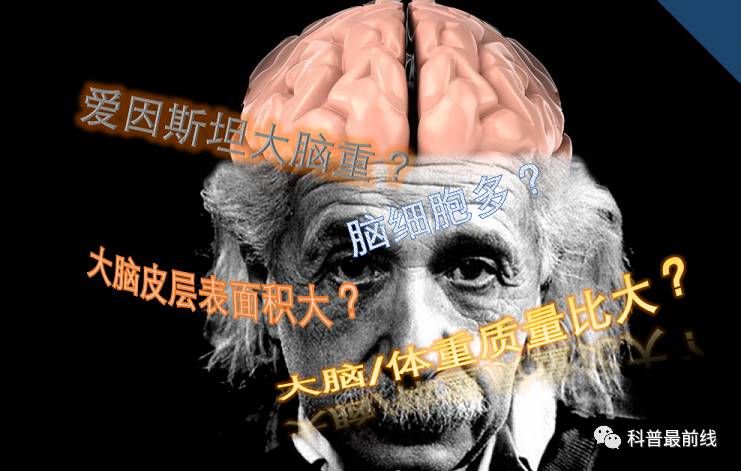 右侧脑在哪(右侧脑袋神经一跳一跳的疼是怎么回事)
