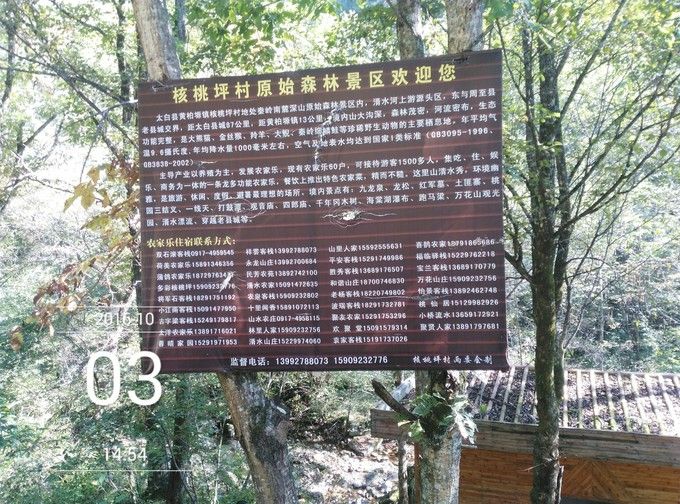 黄柏塬在哪里(宝鸡市黄柏塬在哪里)