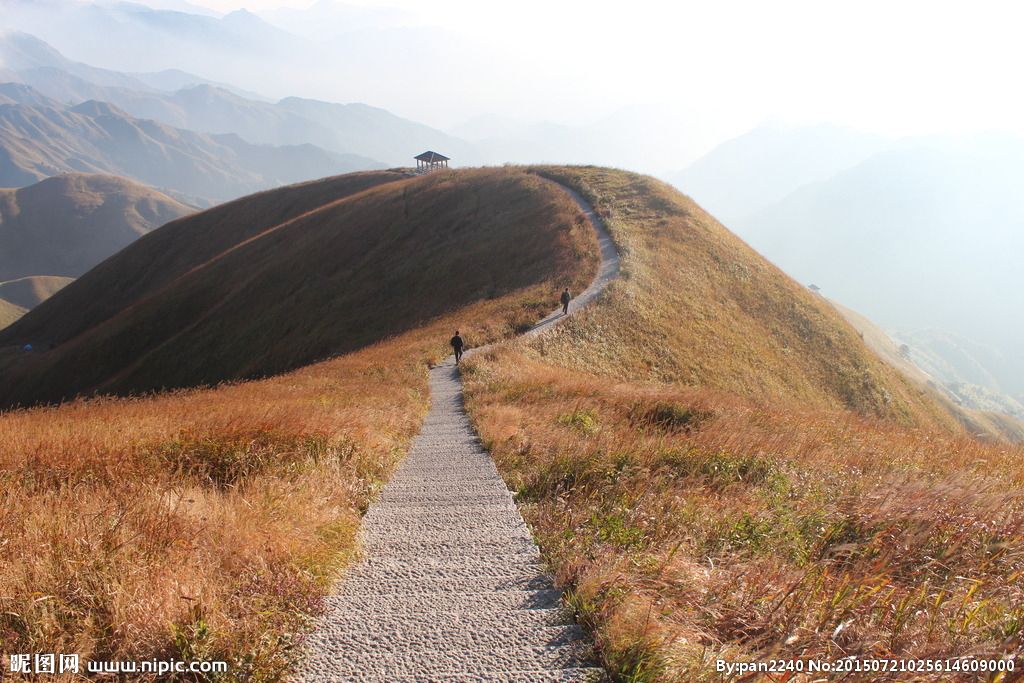 武岗山在哪里(深圳尖岗山在哪里)