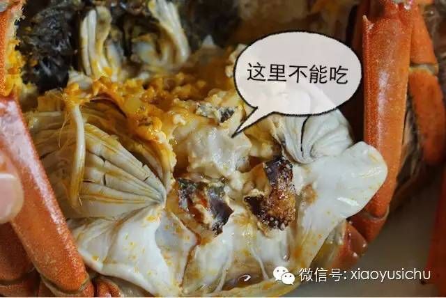 大闸蟹心在哪(大闸蟹型号区别)